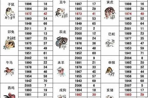 1999年屬|1999年出生属什么生肖 1999年属兔是什么命